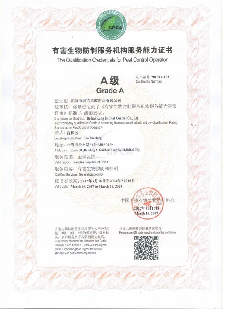 A級資質(zhì)證書wps圖片
